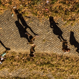 overhead view of sidewalk